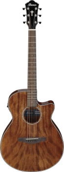 Ibanez AEG61-NMH