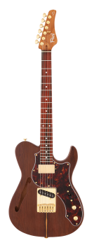 FGN Expert Iliad EW, Thinline Body, Natural Flat, Case