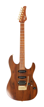 FGN E-Gitarre, Expert Odyssey DU EW, Vintage Natural, Koffer