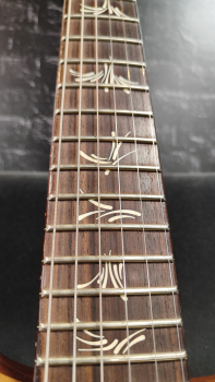 PRS Brushstroke 24 Limited / Aquableux