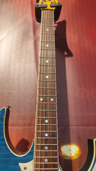 Ibanez RT650GF