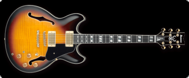 Ibanez - John Scofield Signature JSM10