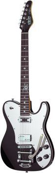 SCHECTER Electric Guitar, Pete Dee, Gloss Black
