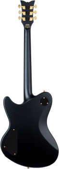 SCHECTER Electric Guitar, Dan Donegan Ultra, Satin Black
