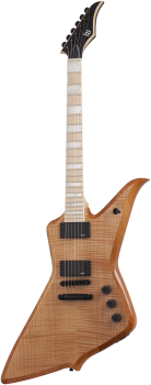 SCHECTER E-Gitarre, Wylde Audio, Blood Eagle, Rawtop