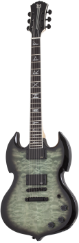 SCHECTER E-Gitarre, Wylde Audio, Barbarian, Nordic Ice