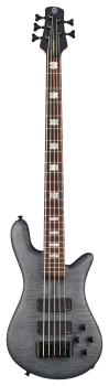 SPECTOR Bass Guitar, Euro LX BOLT-ON, 5-String, active, Black Stain Matte