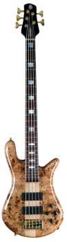SPECTOR Bassgitarre, EuroLX, 5-Saiter, aktiv, Poplar Burl Gloss