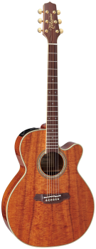 TAKAMINE Westerngitarre, Legacy Serie, EF508KC, NEX/C