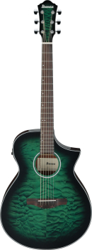Ibanez AEWC16QA-TEH