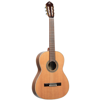 ORTEGA Traditional Series 4/4 Nylon String Guitar 6-String + Pro Gig Bag R20GSNWN
