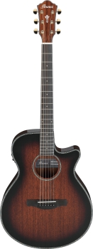 Ibanez AEG74-MHS