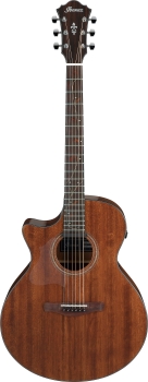 Ibanez AE295L-LGS