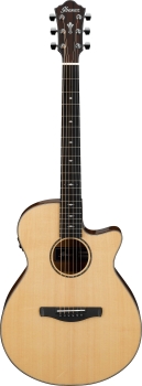 Ibanez AEG200-LGS