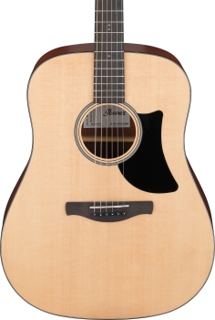 Ibanez AAD50-LG