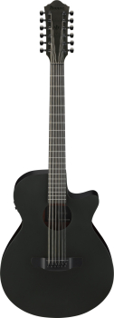Ibanez AEG1221-BOT