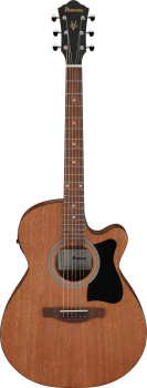 IBANEZ V Acoustic Guitar 6-String - Open Pore Natural VC44CE-OPN