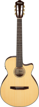 IBANEZ AEG Nylon String Guitar 6-String - Natural AEG50N-NT