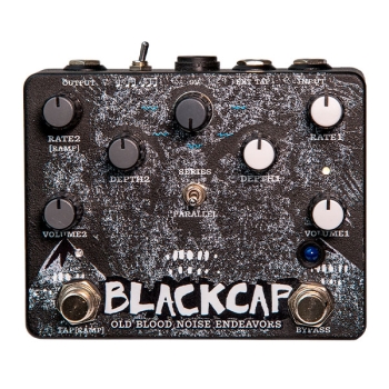 Blackcap (NEW!)