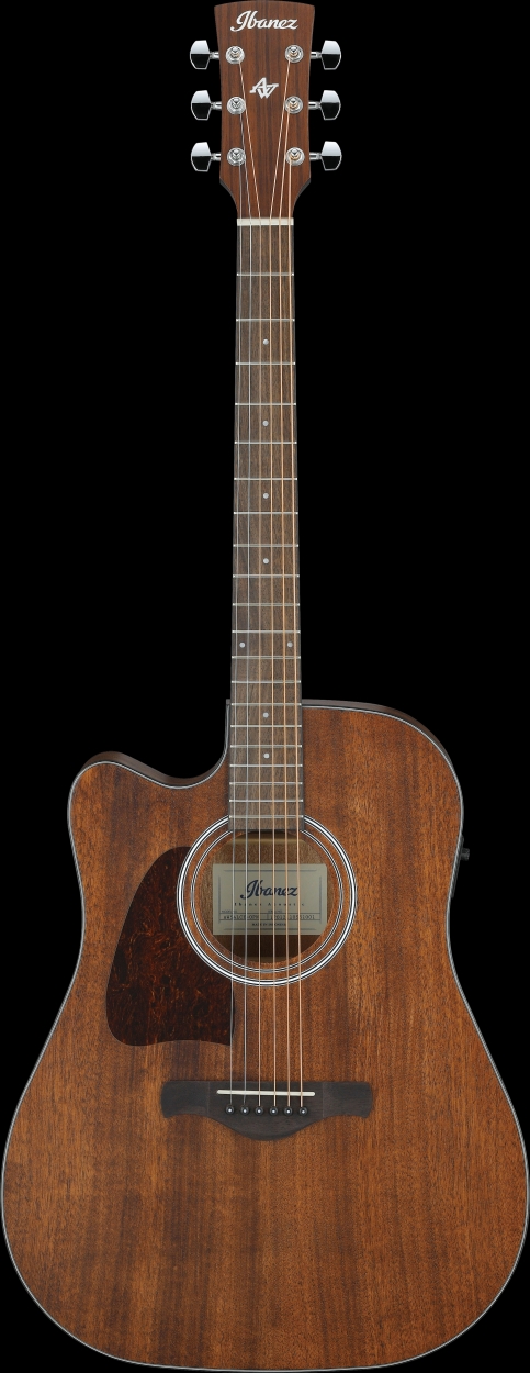 Ibanez AW54LCE-OPN