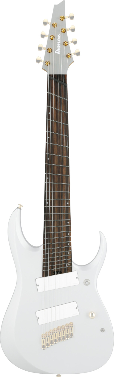 IBANEZ Neck for EH10-TGM 1NK1PA0570