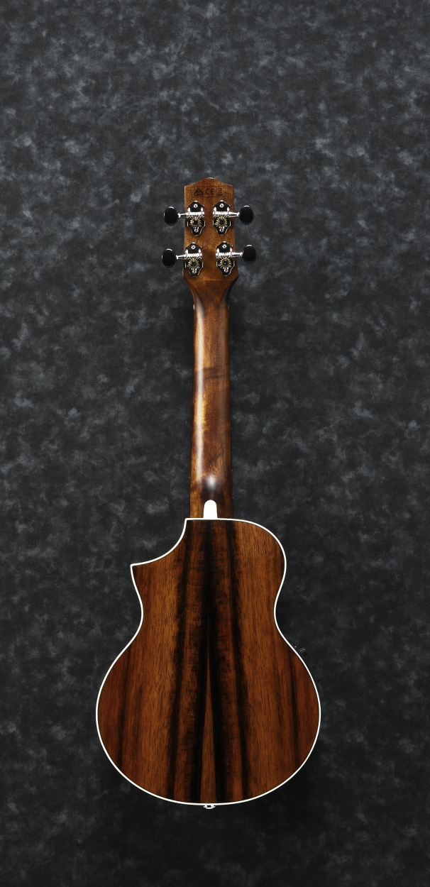 Ibanez UEW13MEE-DBO