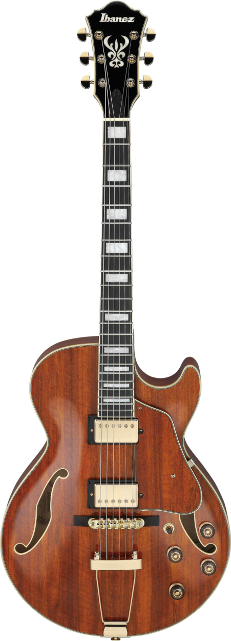 IBANEZ Artcore Expressionist AG Hollow Body Guitar 6-String - Natural AG95K-NT