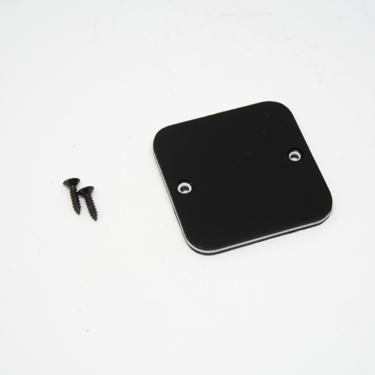 IBANEZ Switch Cavity Plate DT520 4PT12A0019