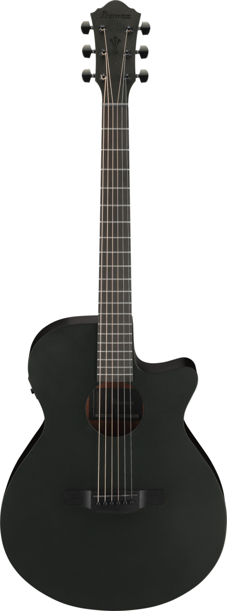 Ibanez AEG621-BOT