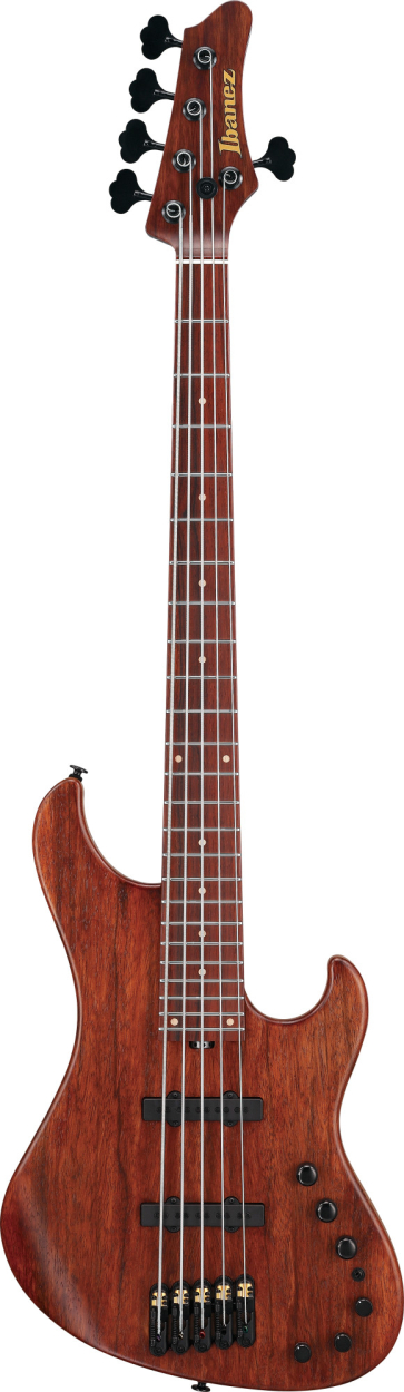 IBANEZ Visions MODE Electric Bass 5-String + Case IV2MDM