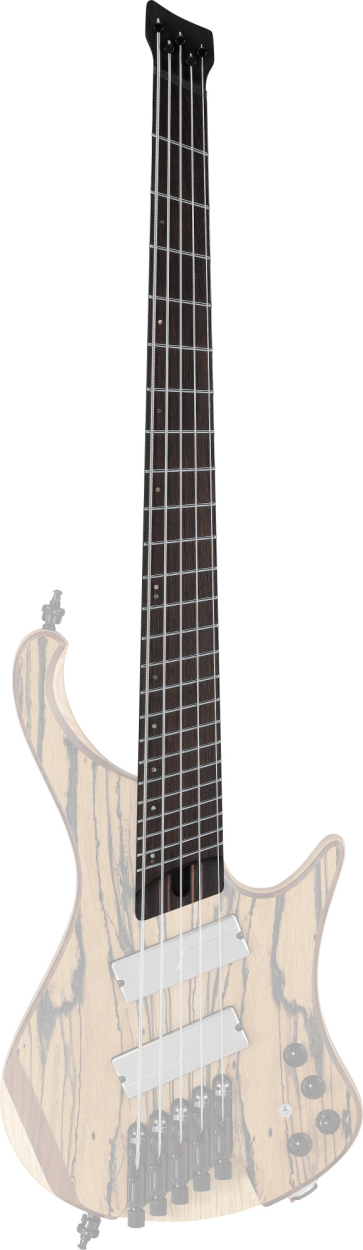 IBANEZ Neck for EHB1675MS-NTF 1NK1PC0534