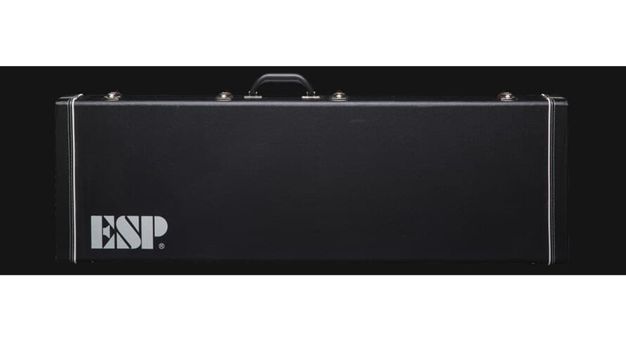 LTD CAPBASSFF - AP BASS FORM FIT CASE