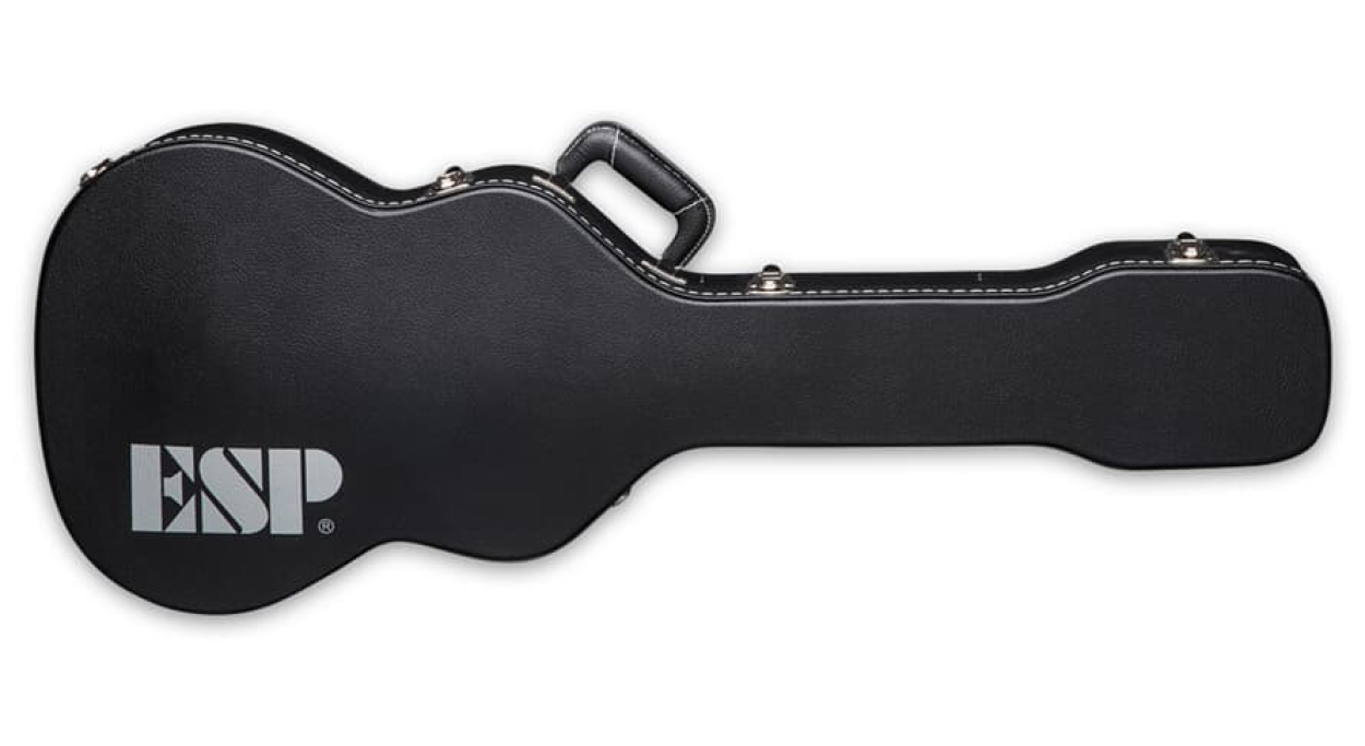 LTD CTLBASSFF - THINLINE BASS FORM FIT CASE