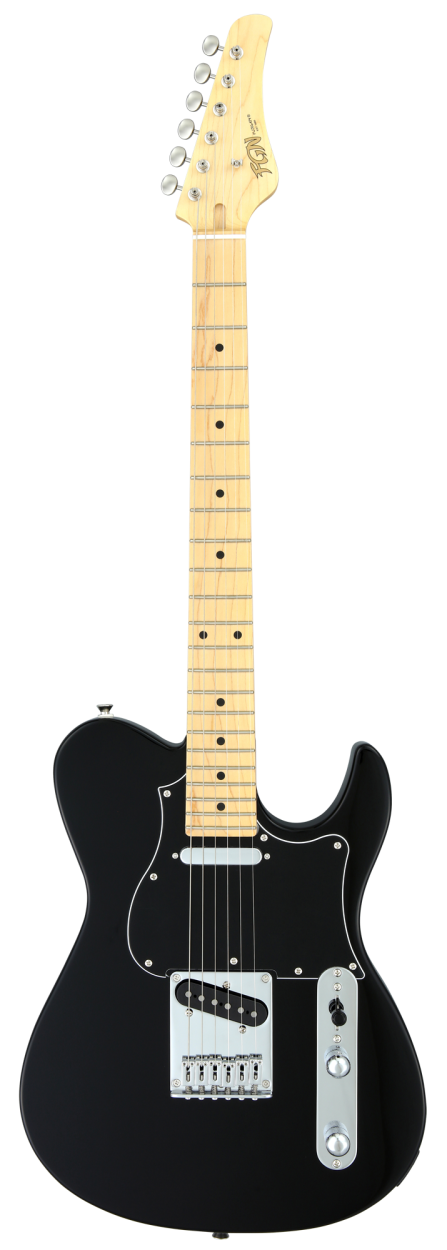 FGN E-Gitarre, Boundary Iliad, 2x Singlecoil, Schwarz, Gigbag