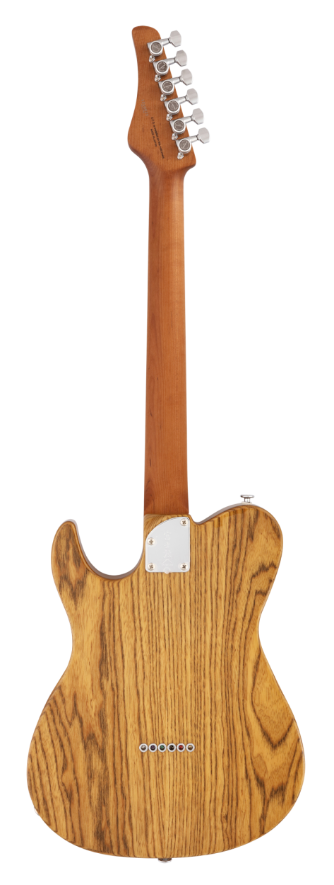 FGN Expert Iliad, Thinline Body, Vintage Natural, Case