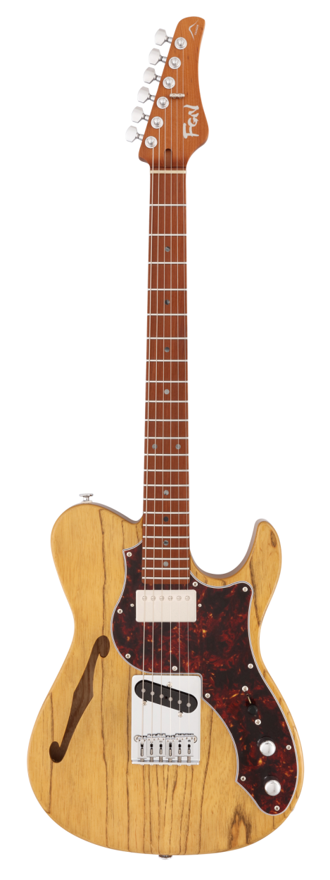 FGN Expert Iliad, Thinline Body, Vintage Natural, Case