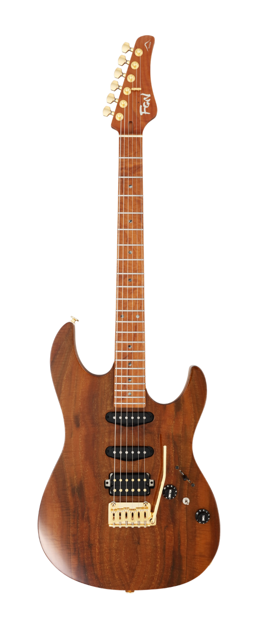 FGN E-Gitarre, Expert Odyssey DU EW, Vintage Natural, Koffer