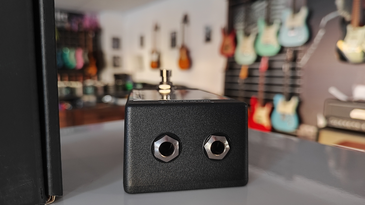 Walrus Audio Canvas Tuner