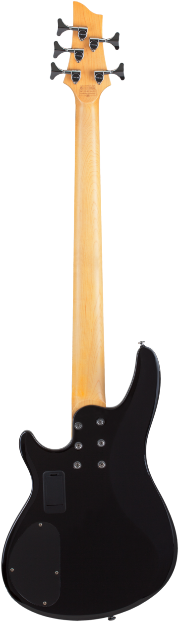 SCHECTER Electric Bass Guitar, C-5 Plus, See-Thru Cherry Burst