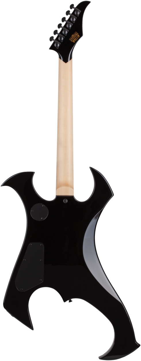 SCHECTER Electric Guitar, Wylde Audio, Berzerker, Blood Skull