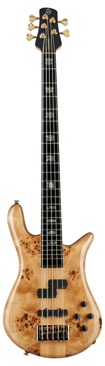 SPECTOR Bass Guitar, Euro CST, 5-string, active, Natural Gloss