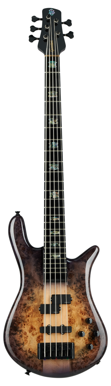 SPECTOR Bass Guitar, Euro CST, 5-string, active, Natural Violet Burst Gloss