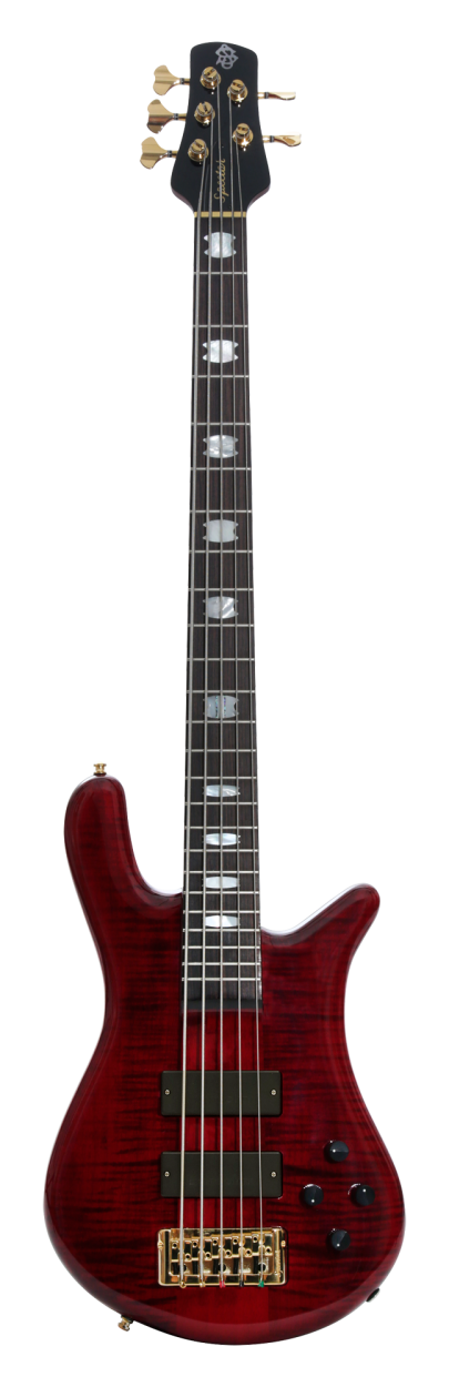 SPECTOR Bassgitarre, EuroLX, 5-Saiter, aktiv, Black Cherry Gloss