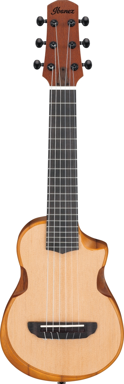 Ibanez AUP10N-OPN