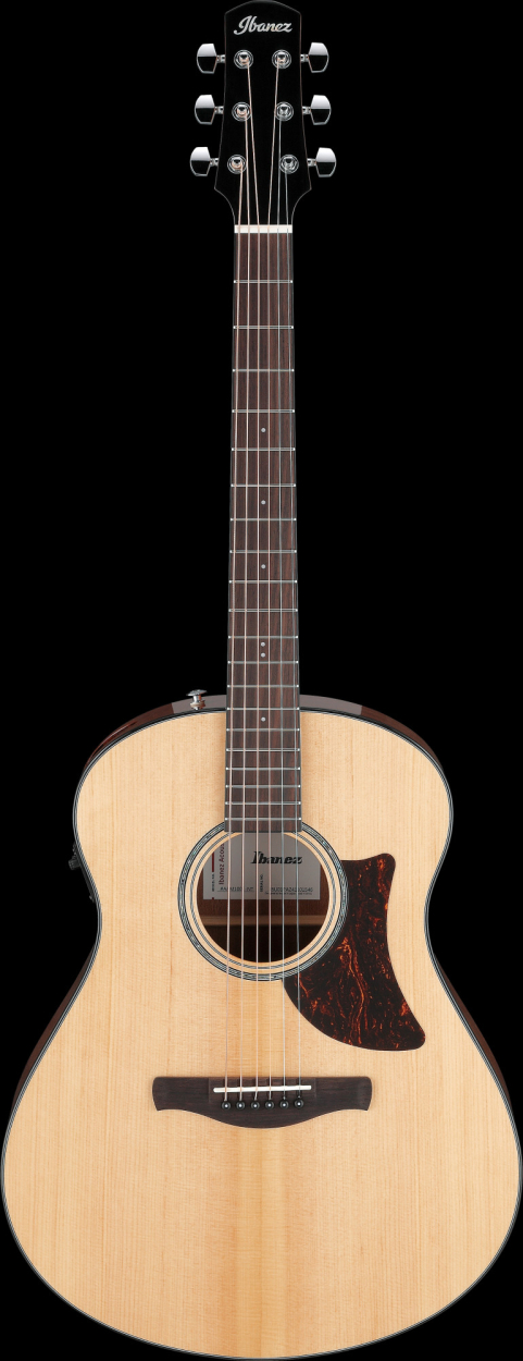 Ibanez AAM100E-NT