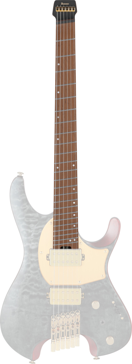 IBANEZ 6-String Guitar Neck for MGFM10-OBL 1NK1PA0753