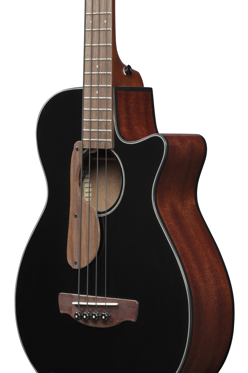 Ibanez AEGB24E-BKH