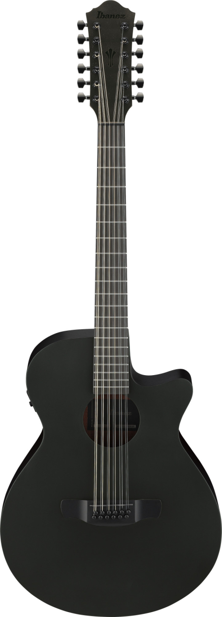 Ibanez AEG1221-BOT