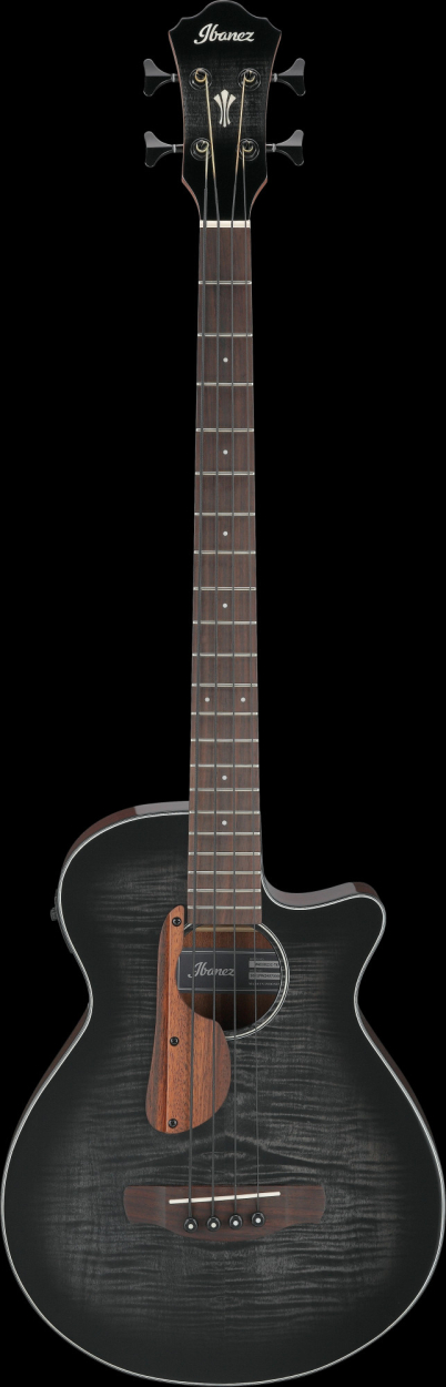 Ibanez AEGB25E-TKH