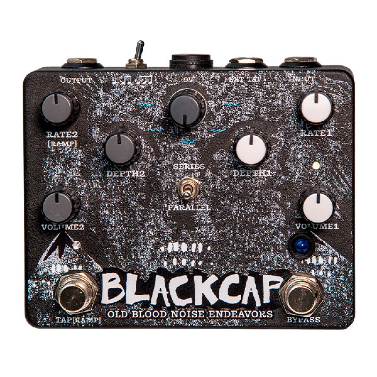 Blackcap (NEW!)
